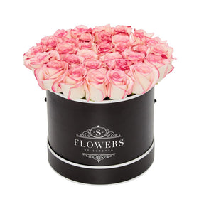 Elegance - Fresh Bicolour Pink Roses